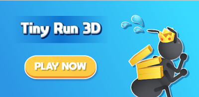 Tiny Run 3D